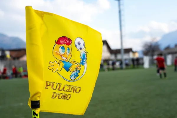 Bandiera calcio d'angolo, Torneo Pulcino d'Oro