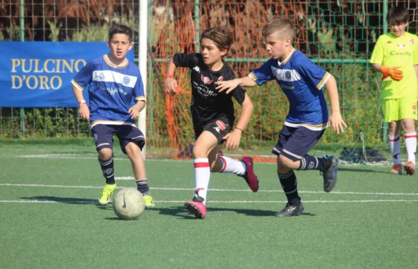 Torneo Regionale Puglia - 2